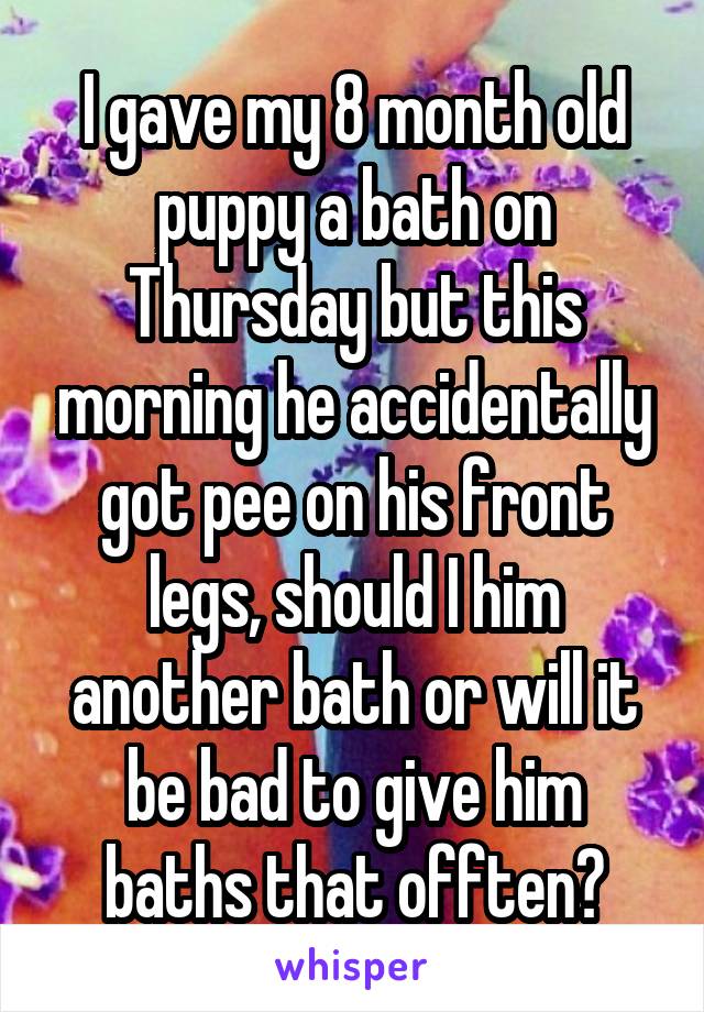 I gave my 8 month old puppy a bath on Thursday but this morning he accidentally got pee on his front legs, should I him another bath or will it be bad to give him baths that offten?