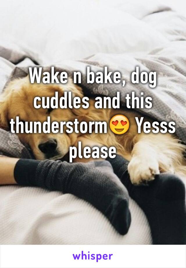 Wake n bake, dog cuddles and this thunderstorm😍 Yesss please