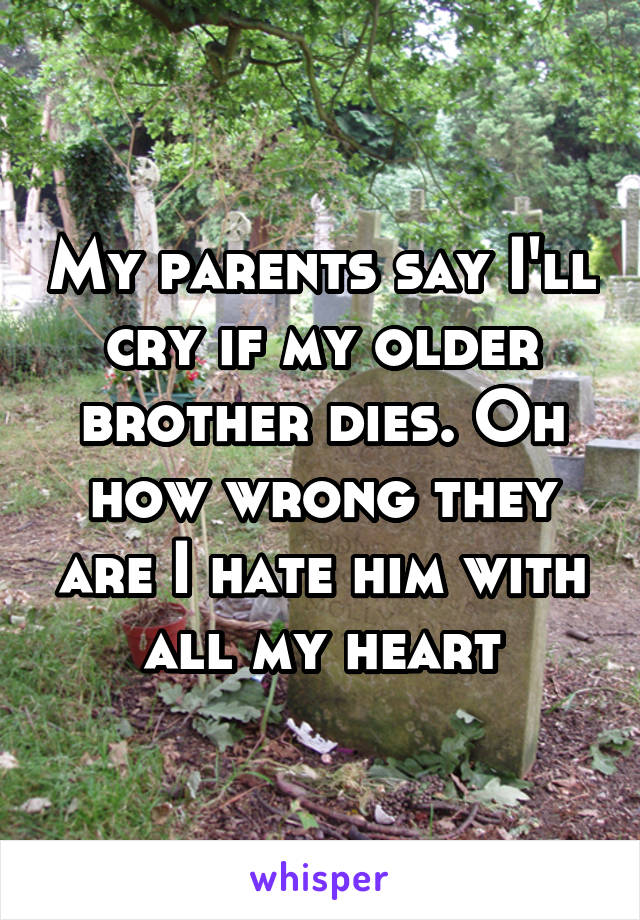 My parents say I'll cry if my older brother dies. Oh how wrong they are I hate him with all my heart