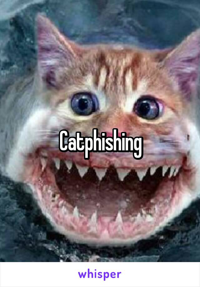 Catphishing