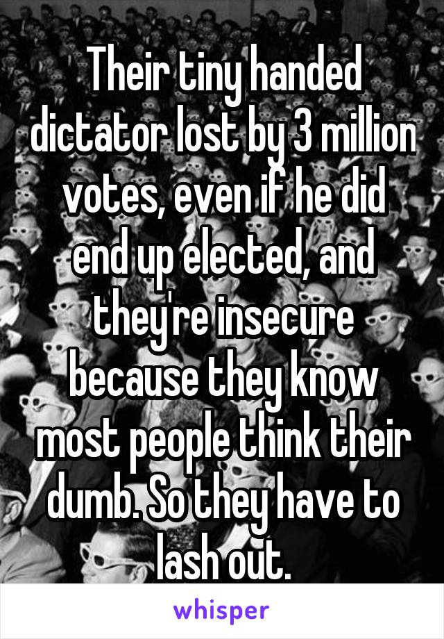 Their tiny handed dictator lost by 3 million votes, even if he did end up elected, and they're insecure because they know most people think their dumb. So they have to lash out.