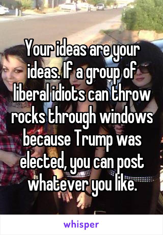 Your ideas are your ideas. If a group of liberal idiots can throw rocks through windows because Trump was elected, you can post whatever you like.