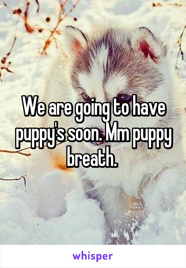 We are going to have puppy's soon. Mm puppy breath. 