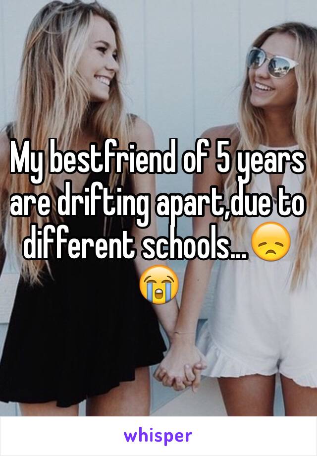 My bestfriend of 5 years are drifting apart,due to different schools...😞😭