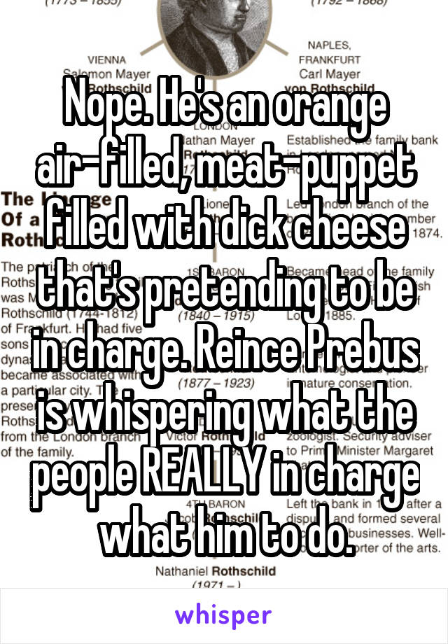 Nope. He's an orange air-filled, meat-puppet filled with dick cheese that's pretending to be in charge. Reince Prebus is whispering what the people REALLY in charge what him to do.