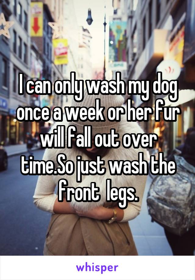 I can only wash my dog once a week or her fur will fall out over time.So just wash the front  legs.