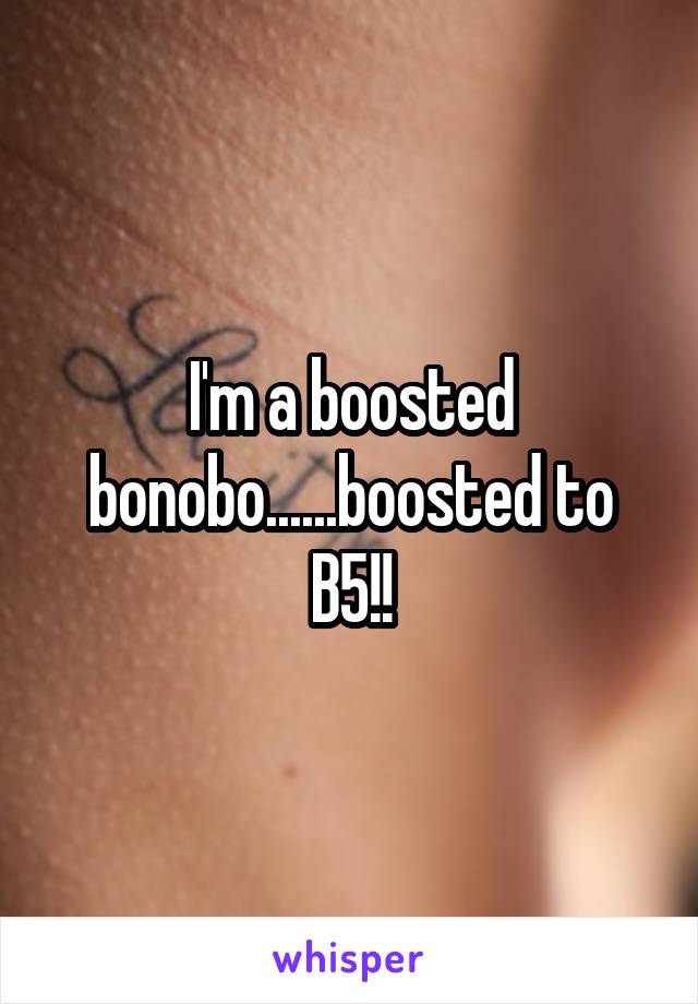 I'm a boosted bonobo......boosted to B5!!