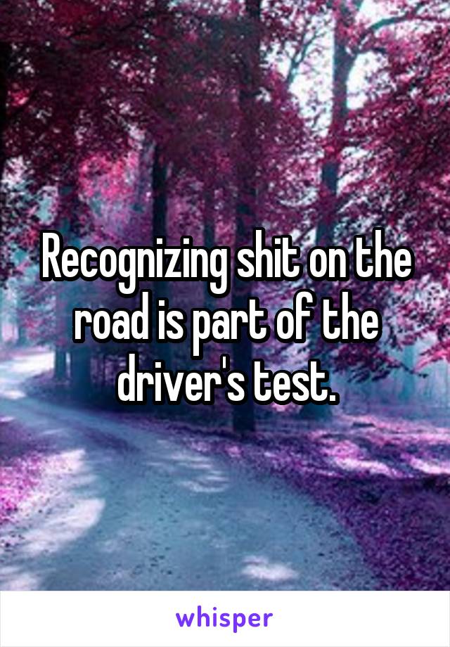 Recognizing shit on the road is part of the driver's test.