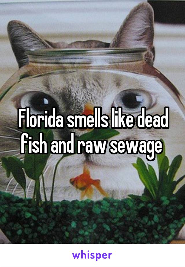 Florida smells like dead fish and raw sewage 