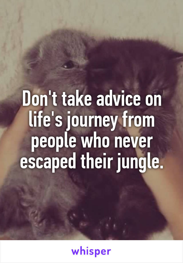 Don't take advice on life's journey from people who never escaped their jungle.