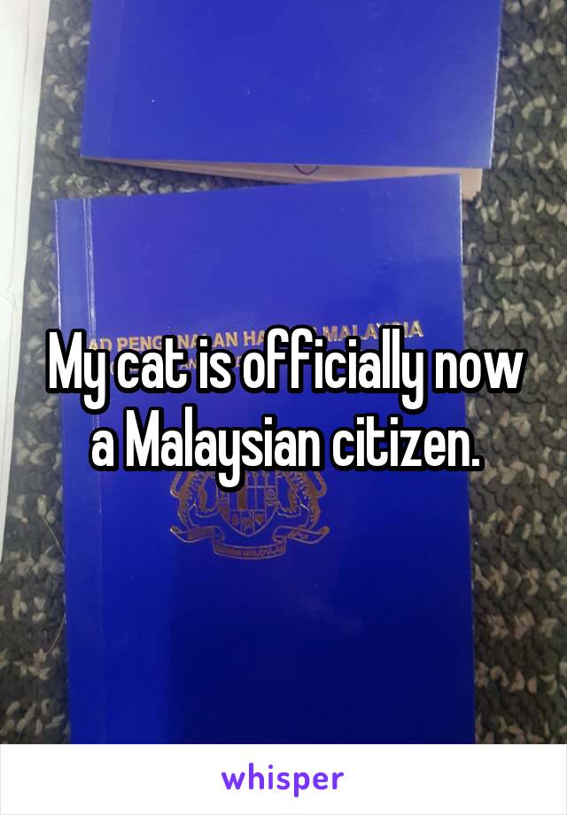 My cat is officially now a Malaysian citizen.