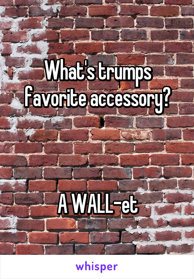 What's trumps favorite accessory?



A WALL-et