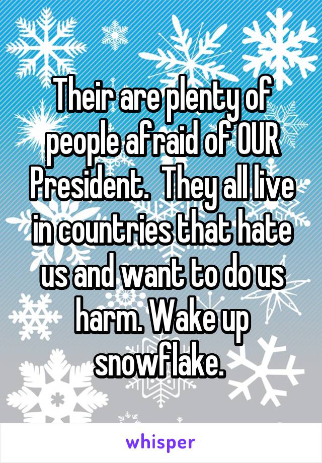 Their are plenty of people afraid of OUR President.  They all live in countries that hate us and want to do us harm. Wake up snowflake. 