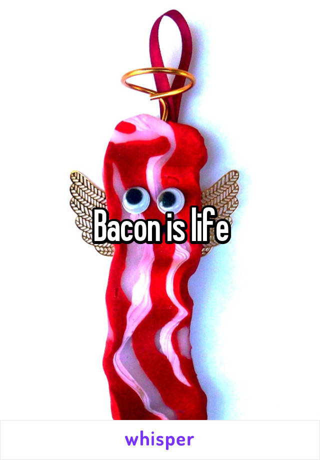 Bacon is life