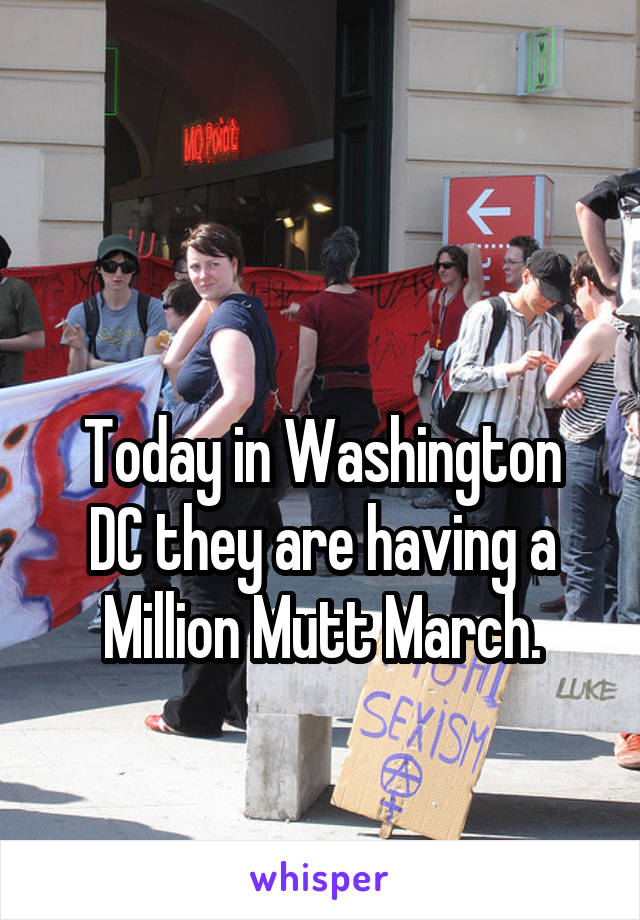 

Today in Washington DC they are having a Million Mutt March.