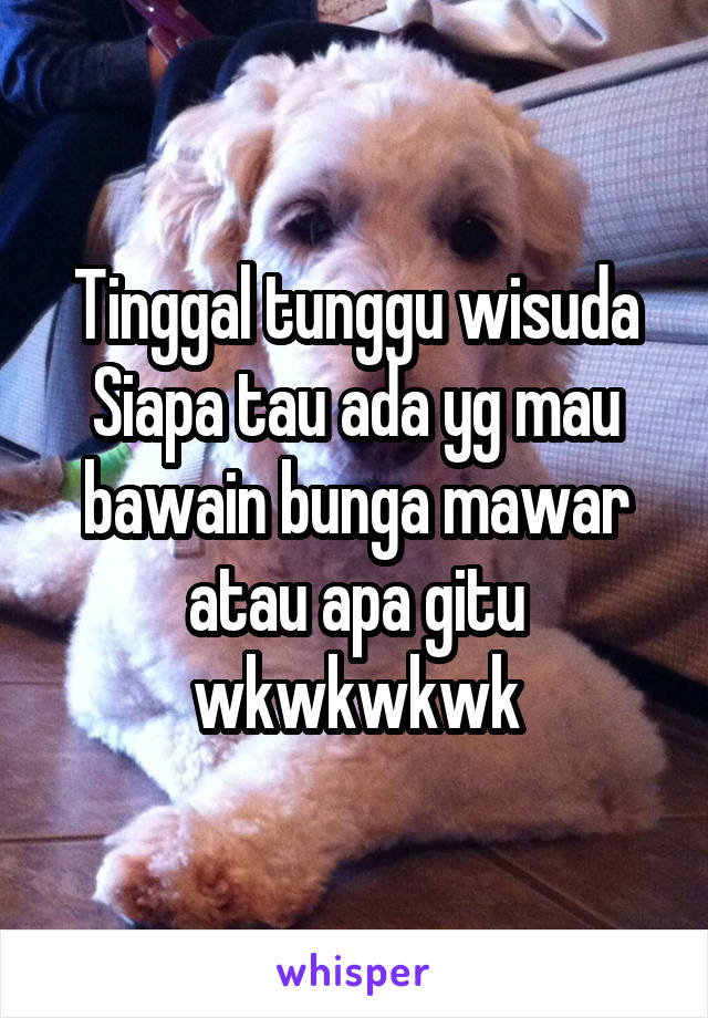 Tinggal tunggu wisuda
Siapa tau ada yg mau bawain bunga mawar atau apa gitu wkwkwkwk