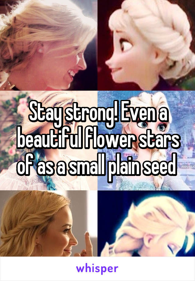 Stay strong! Even a beautiful flower stars of as a small plain seed 