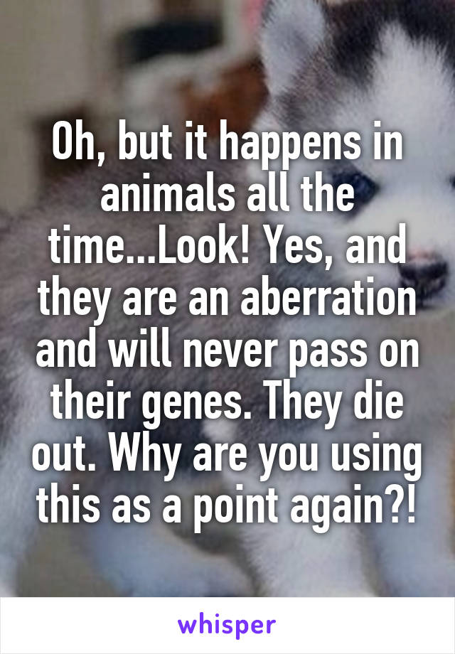 Oh, but it happens in animals all the time...Look! Yes, and they are an aberration and will never pass on their genes. They die out. Why are you using this as a point again?!