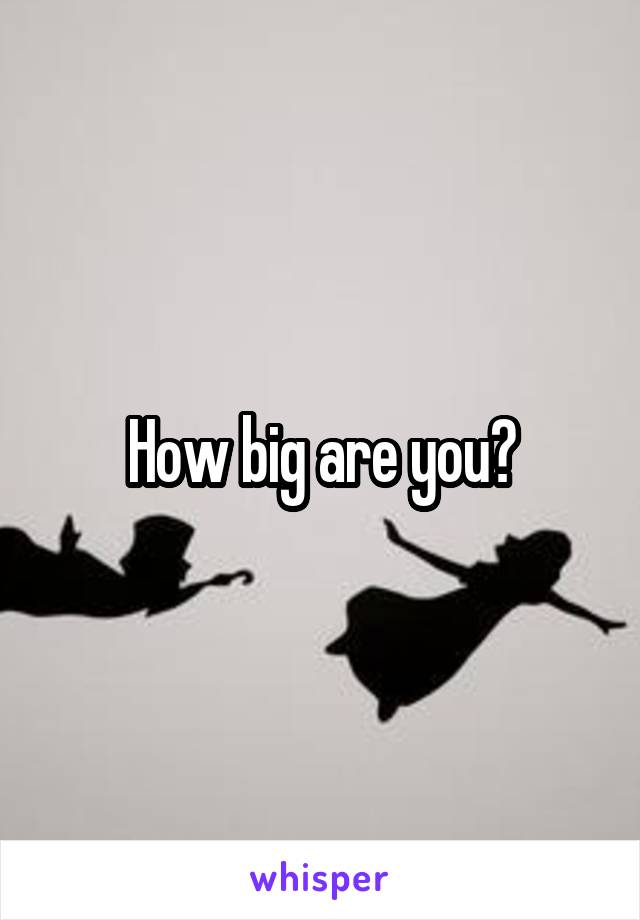 How big are you?