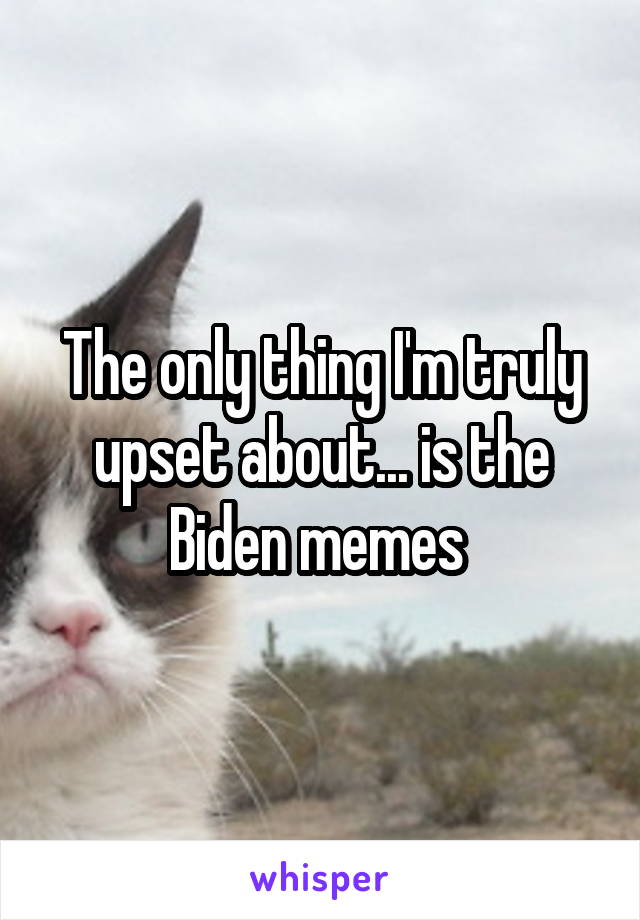 The only thing I'm truly upset about... is the Biden memes 