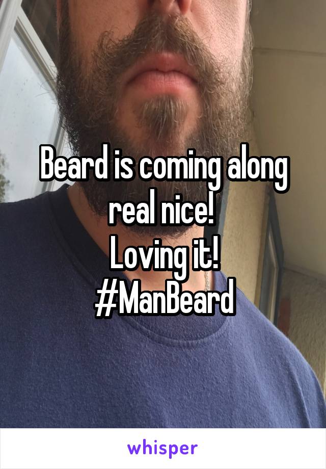 Beard is coming along real nice! 
Loving it!
#ManBeard