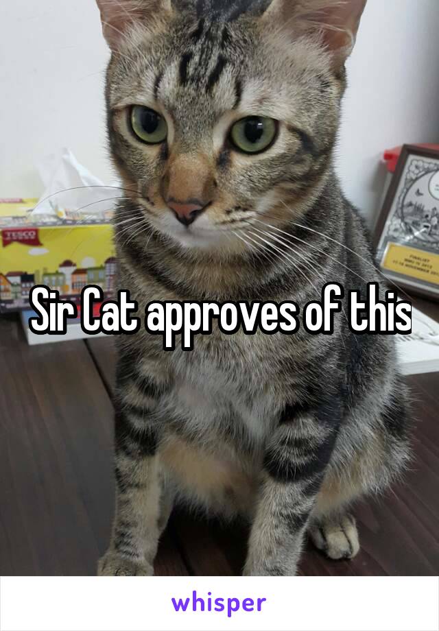 Sir Cat approves of this