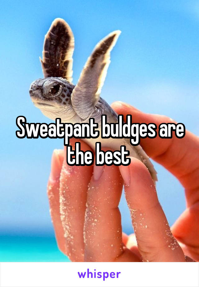 Sweatpant buldges are the best 