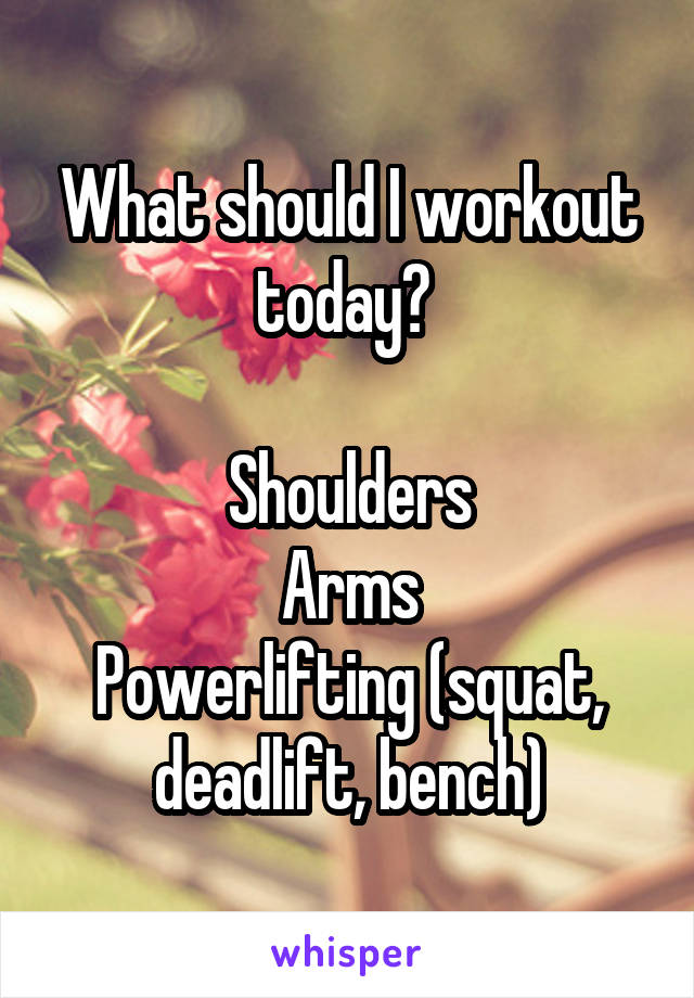 What should I workout today? 

Shoulders
Arms
Powerlifting (squat, deadlift, bench)