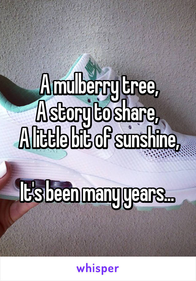 A mulberry tree,
A story to share, 
A little bit of sunshine, 
It's been many years... 