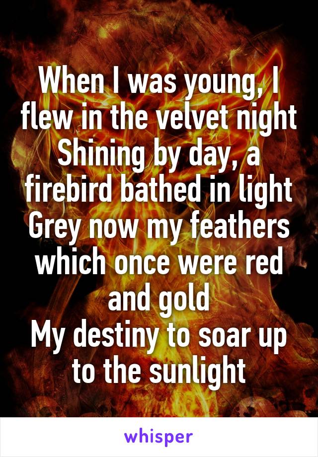 When I was young, I flew in the velvet night
Shining by day, a firebird bathed in light
Grey now my feathers which once were red and gold
My destiny to soar up to the sunlight