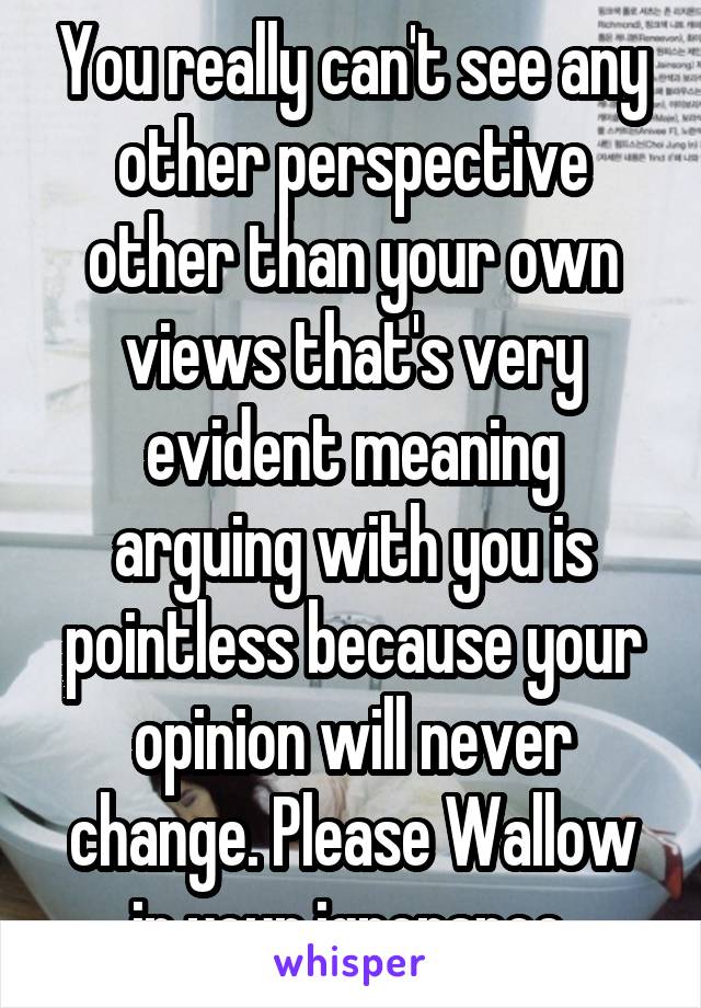 You really can't see any other perspective other than your own views that's very evident meaning arguing with you is pointless because your opinion will never change. Please Wallow in your ignorance.