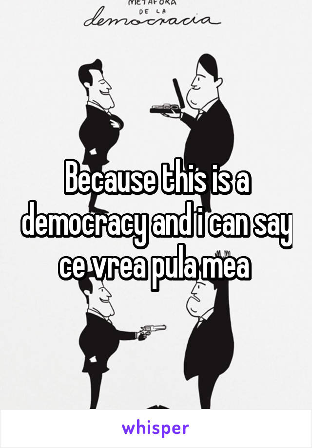 Because this is a democracy and i can say ce vrea pula mea 