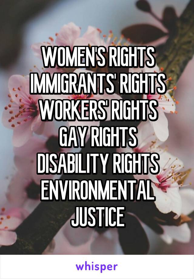 WOMEN'S RIGHTS
IMMIGRANTS' RIGHTS
WORKERS' RIGHTS
GAY RIGHTS
DISABILITY RIGHTS
ENVIRONMENTAL JUSTICE