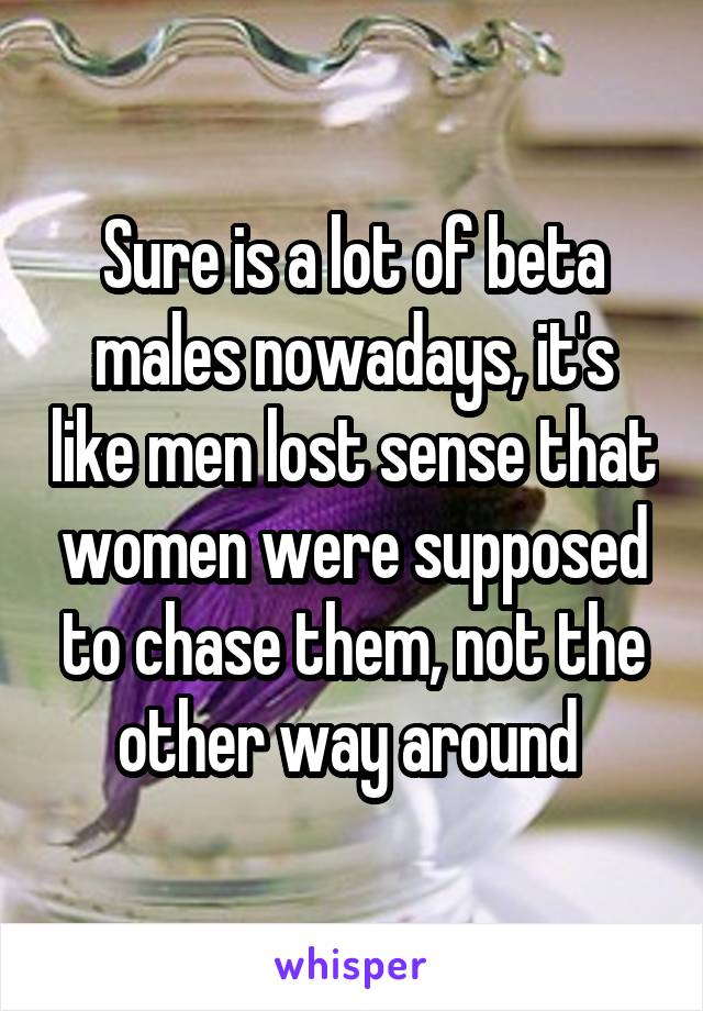 Sure is a lot of beta males nowadays, it's like men lost sense that women were supposed to chase them, not the other way around 