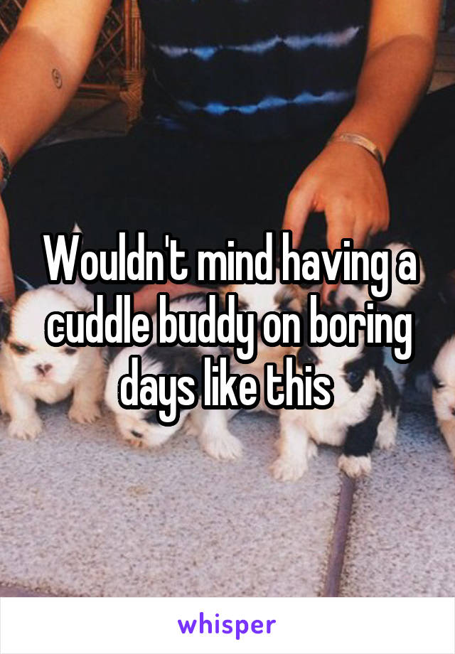 Wouldn't mind having a cuddle buddy on boring days like this 