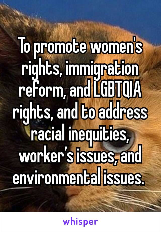 To promote women's rights, immigration reform, and LGBTQIA rights, and to address racial inequities, worker’s issues, and environmental issues. 