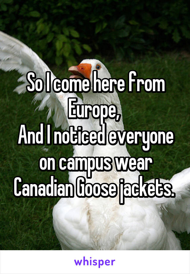 So I come here from Europe, 
And I noticed everyone on campus wear Canadian Goose jackets. 