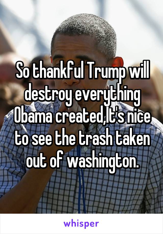 So thankful Trump will destroy everything Obama created,It's nice to see the trash taken out of washington.