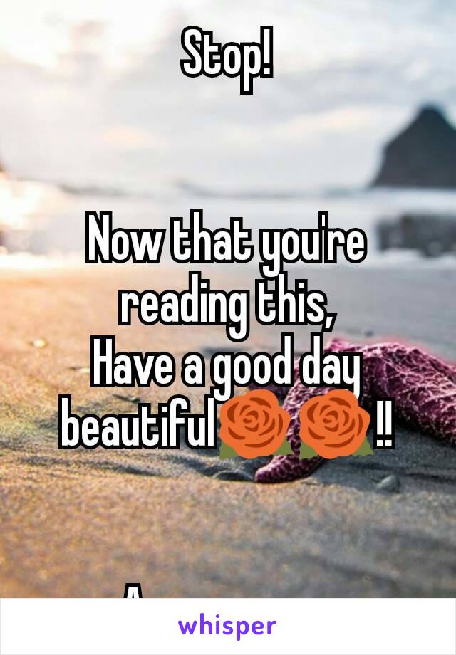 Stop!


Now that you're reading this,
Have a good day beautiful🌹🌹!!


As you were