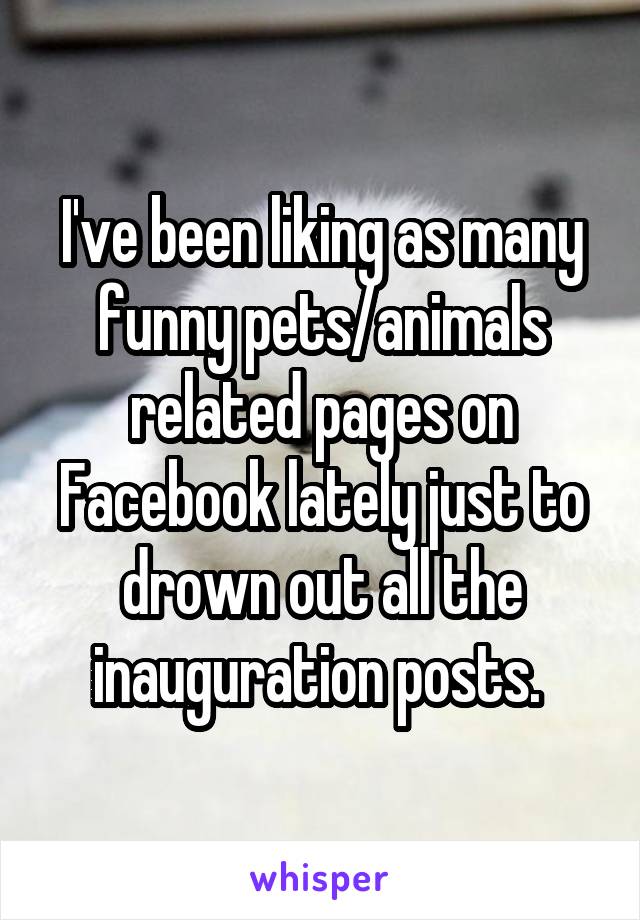 I've been liking as many funny pets/animals related pages on Facebook lately just to drown out all the inauguration posts. 