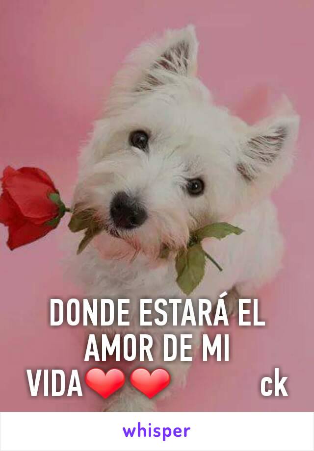 DONDE ESTARÁ EL AMOR DE MI VIDA❤❤           ck