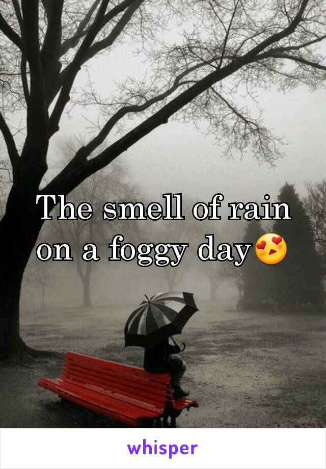 The smell of rain on a foggy day😍