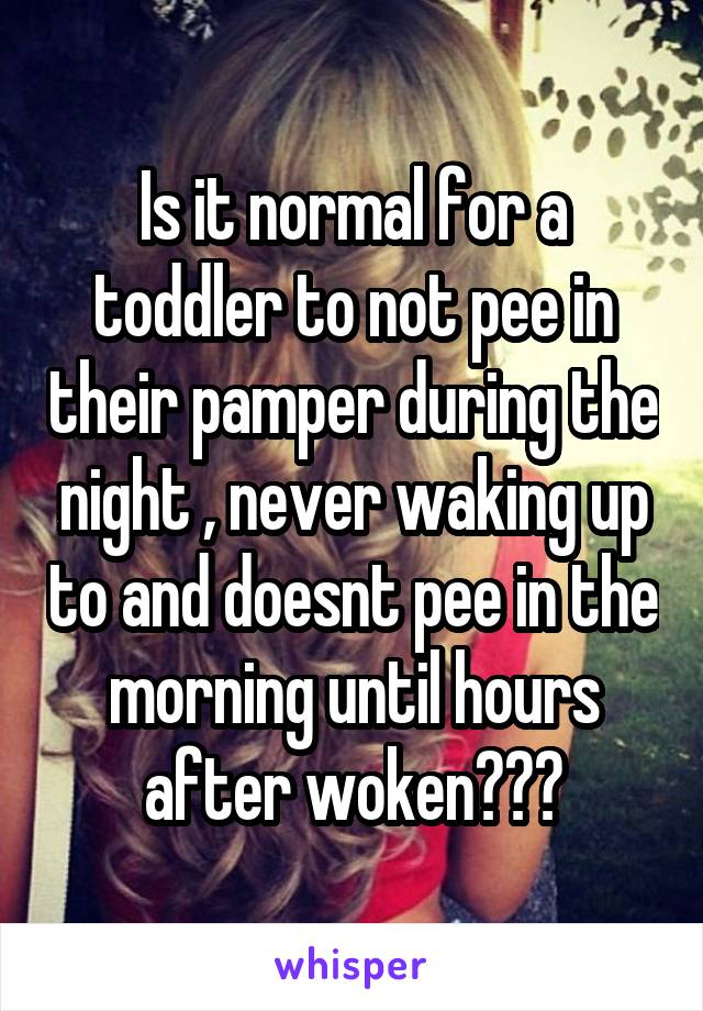 Is it normal for a toddler to not pee in their pamper during the night , never waking up to and doesnt pee in the morning until hours after woken???