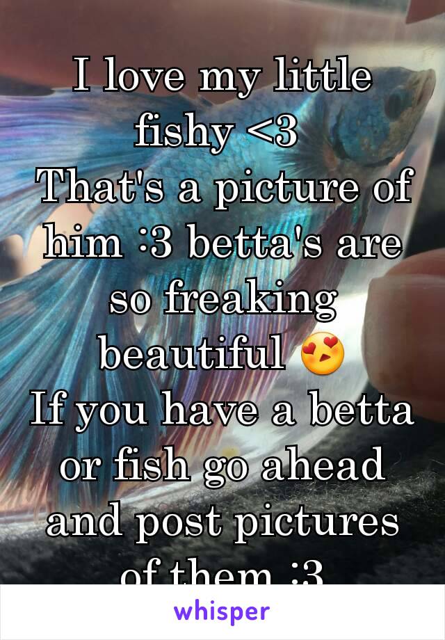 I love my little fishy <3 
That's a picture of him :3 betta's are so freaking beautiful 😍
If you have a betta or fish go ahead and post pictures of them :3