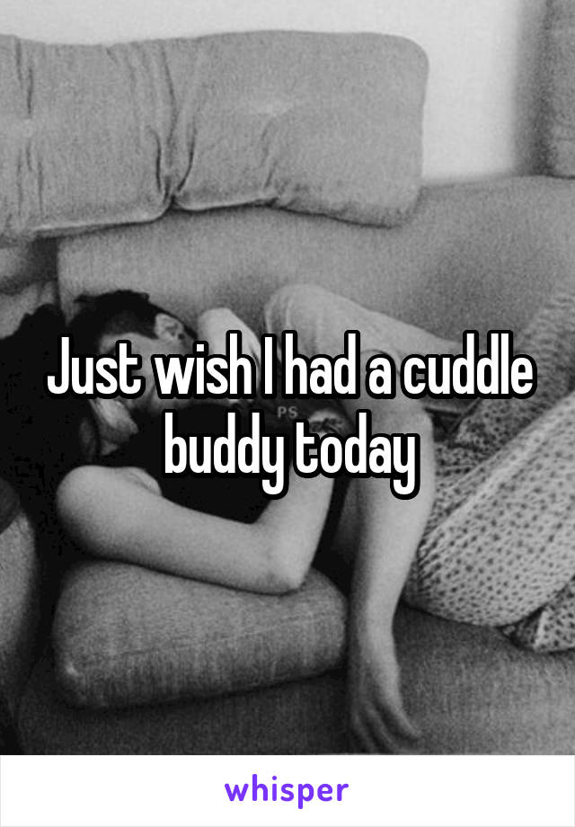 Just wish I had a cuddle buddy today