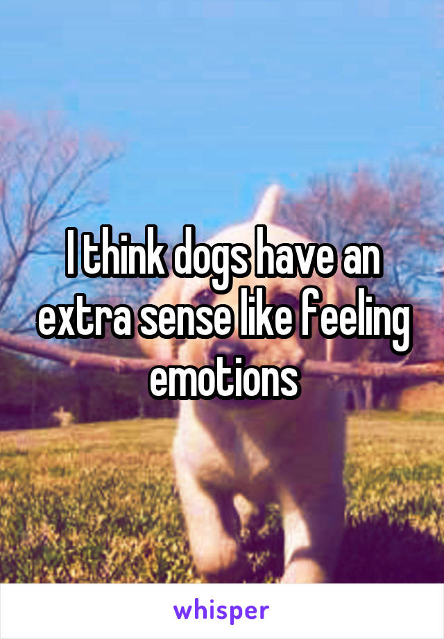 I think dogs have an extra sense like feeling emotions