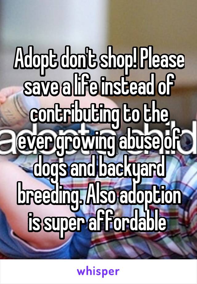 Adopt don't shop! Please save a life instead of contributing to the ever growing abuse of dogs and backyard breeding. Also adoption is super affordable 