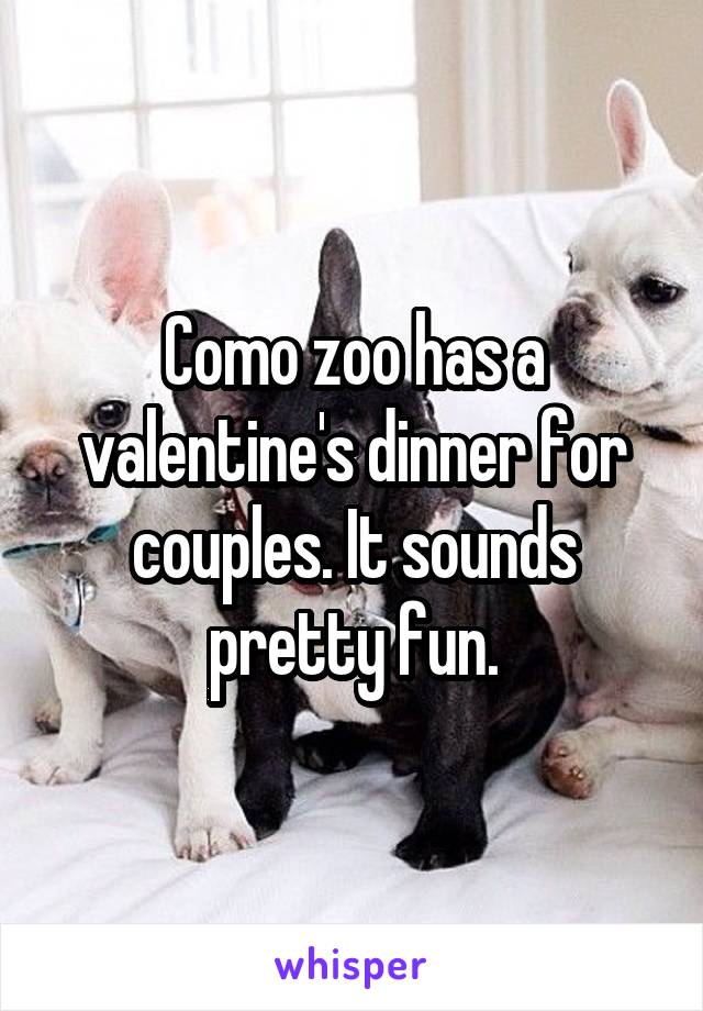 Como zoo has a valentine's dinner for couples. It sounds pretty fun.