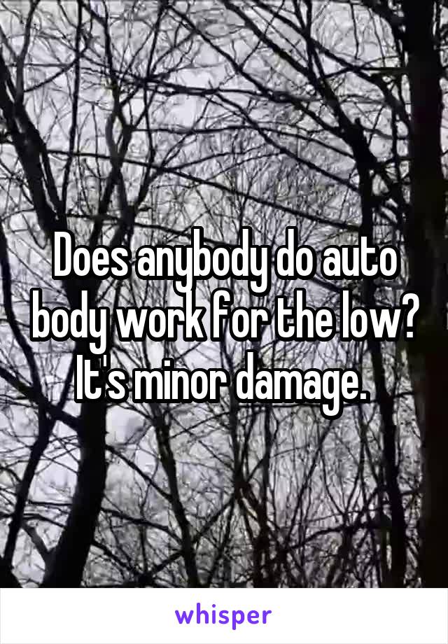 Does anybody do auto body work for the low? It's minor damage. 