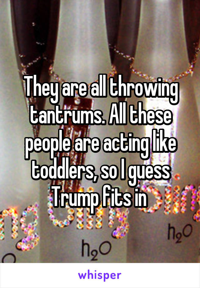 They are all throwing tantrums. All these people are acting like toddlers, so I guess Trump fits in 